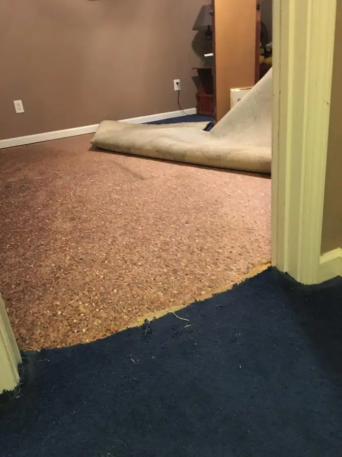 Carpet pad removal revealing water damage during Drying & Dehumidification in Shamokin
